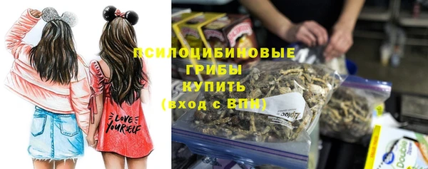 мдпв Михайловск