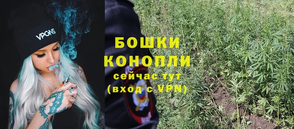 гашик Михайлов